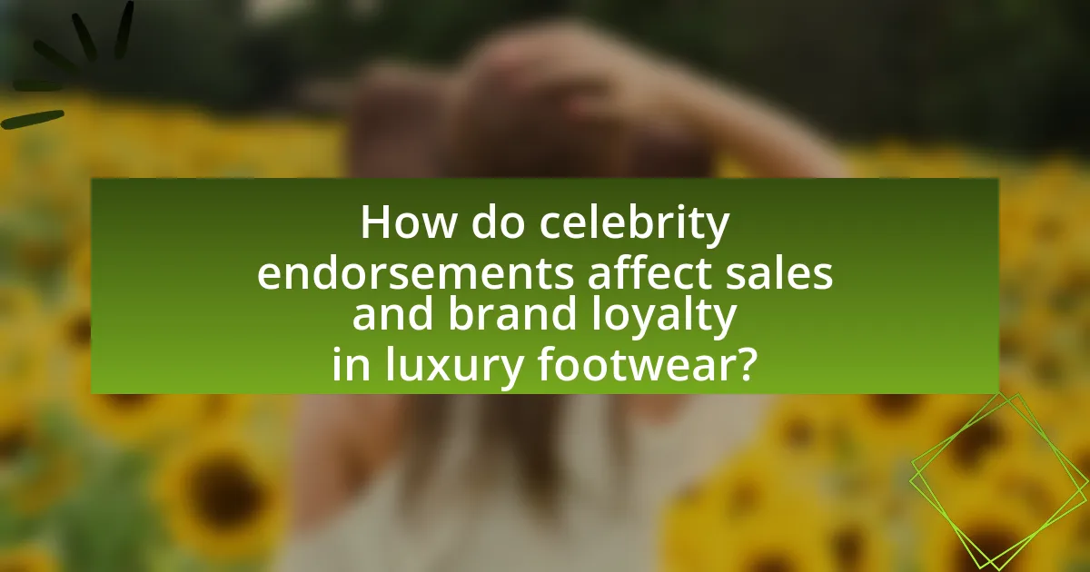 How do celebrity endorsements affect sales and brand loyalty in luxury footwear?