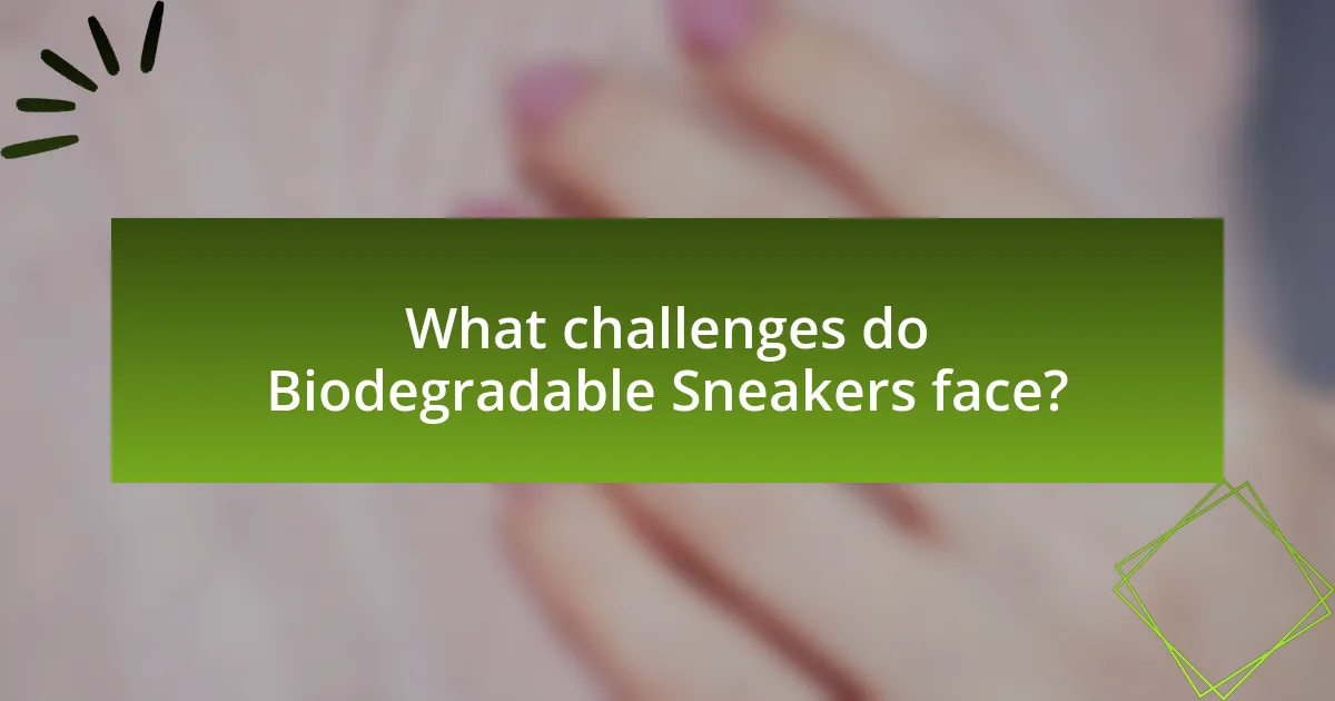 What challenges do Biodegradable Sneakers face?